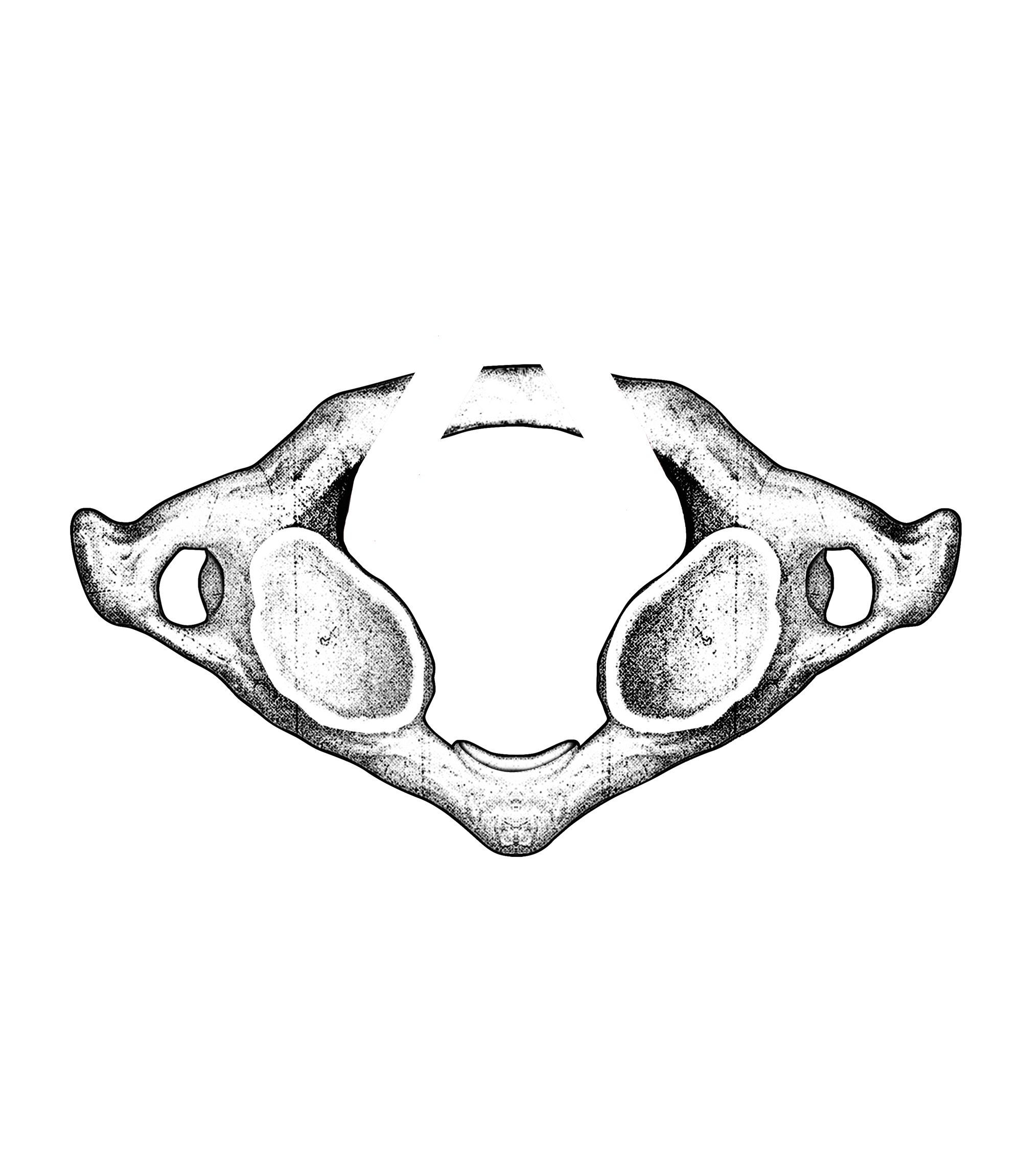 Adio Chiropraktik